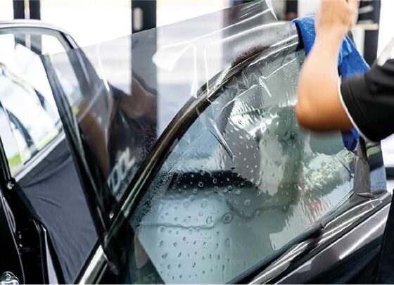 LAMINAS DE SEGURIDAD Y POLARIZAD_